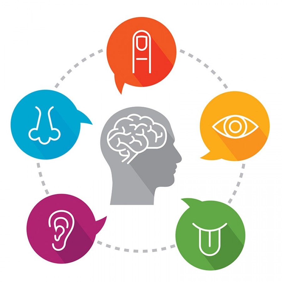 Sensory Pictograph