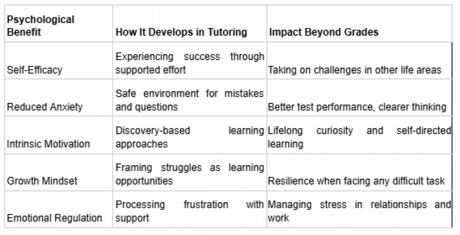 Table showing how tutoring develops Self-Efficacy (leading to challenge-taking), reduces Anxiety (leading to better test performance), builds Intrinsic Motivation, Growth Mindset, and Emotional Regulation.